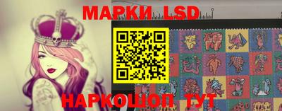 шишки Обь