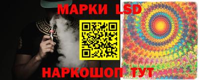шишки Обь