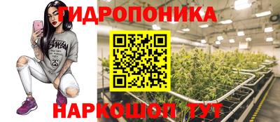 шишки Обь