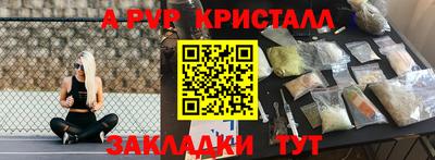 шишки Обь