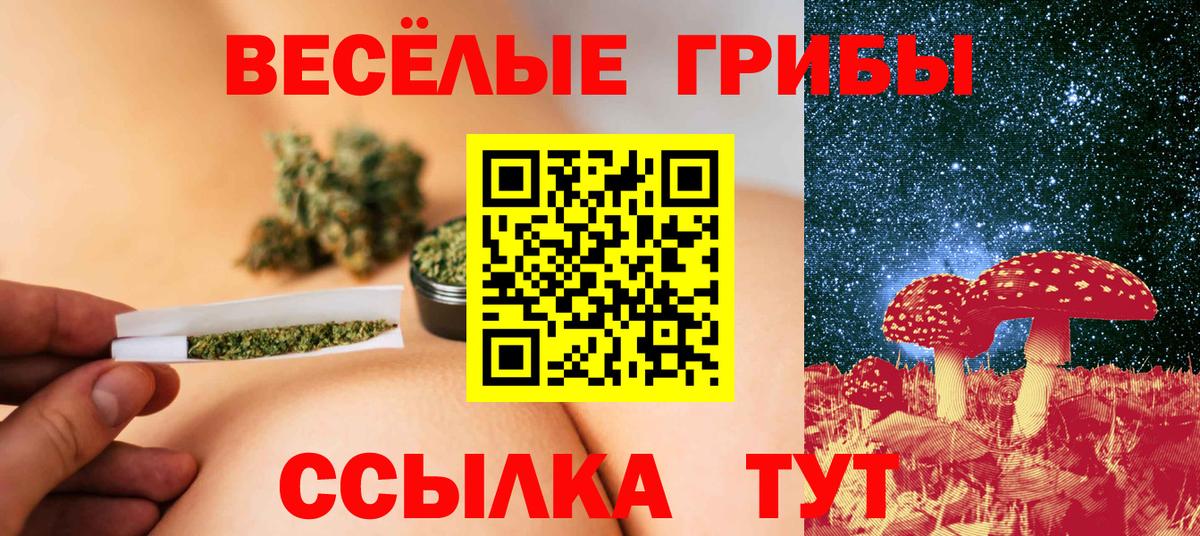 цена наркотик  Псилоцибиновые грибы Psilocybine cubensis  Вход с VPN  Новоуральск 