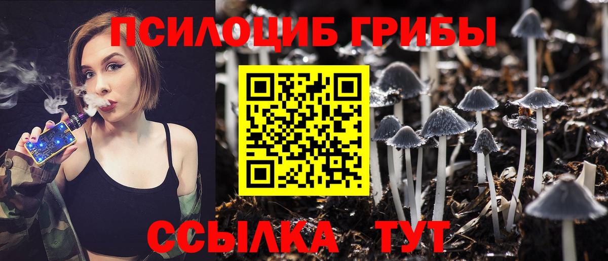 Галлюциногенные грибы прущие грибы Новоуральск